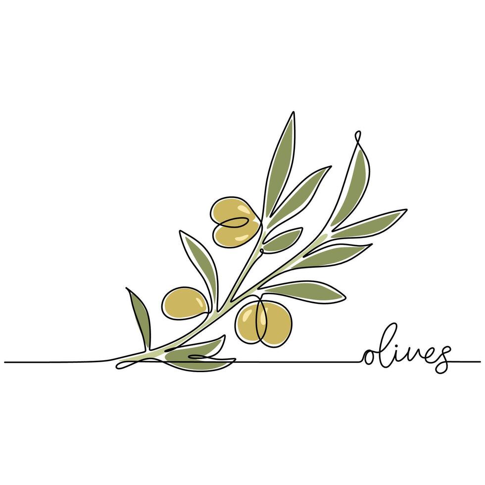 Olives Continuous Line Drawing for Oil vector