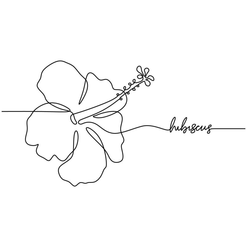 Continuous Line Art Hibiscus Tropical Flower vector