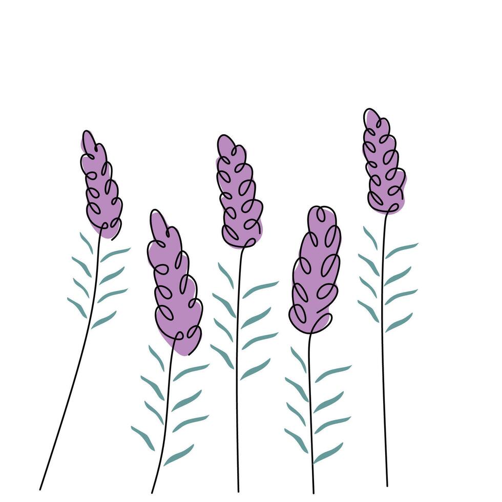 Minimalist Lavender Flower Continuous Line Sketch vector