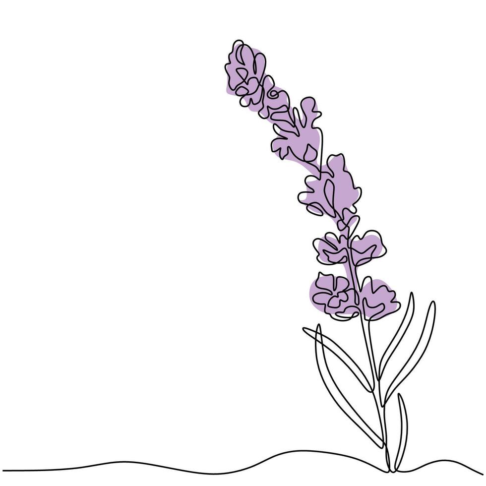 Floral Plant Lavender Continuous Line Art vector