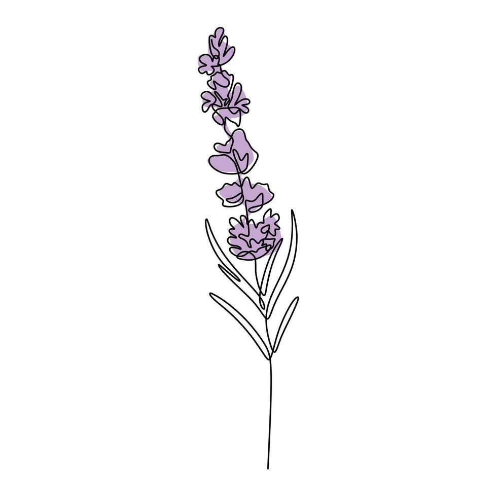 Single Line Art Lavender Floral Illustration vector