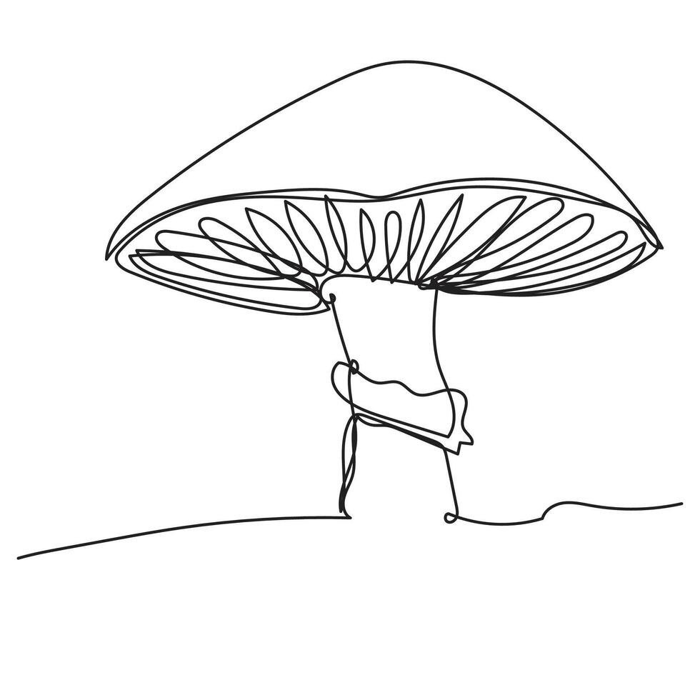 Mushroom Continuous One Line Art Drawing vector