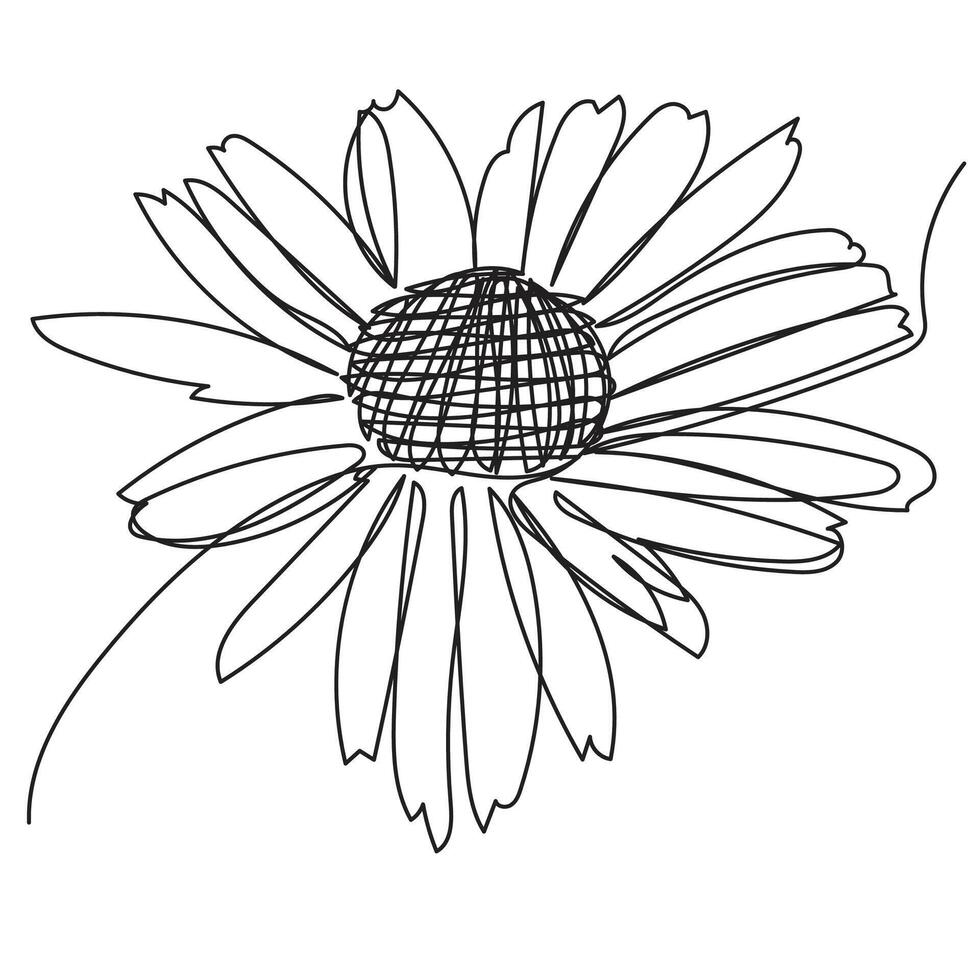 Floral Daisy One Continuous Line Sketch vector
