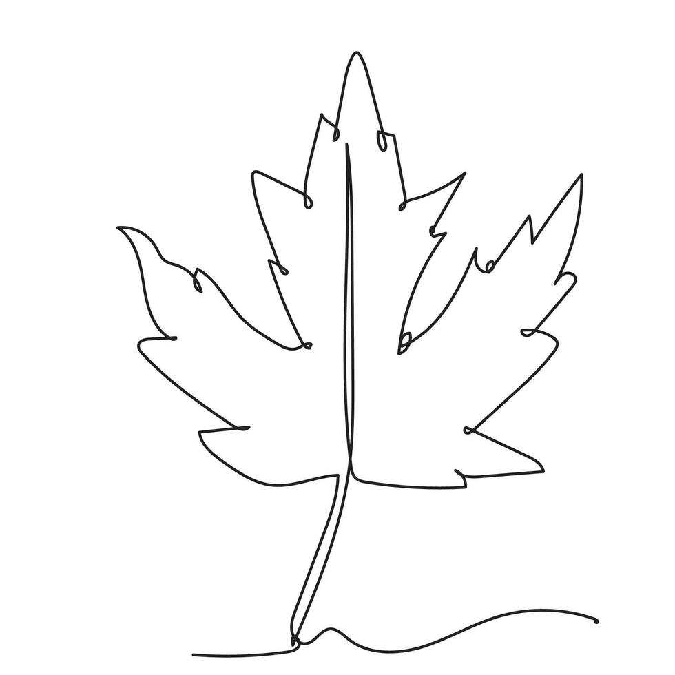 Single Line Art Drawing Maple Leaf vector