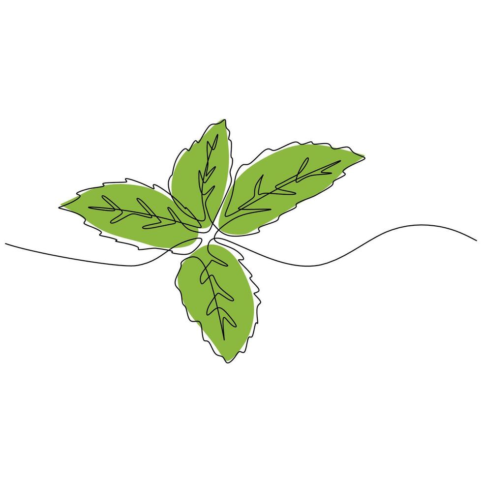 Organic Mint Spearmint Continuous Line Illustration vector
