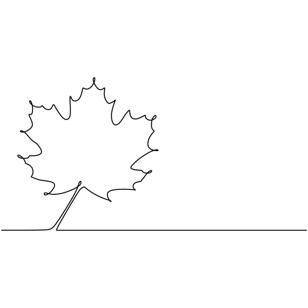 Handdrawn Maple Leaf Continuous Line Art vector