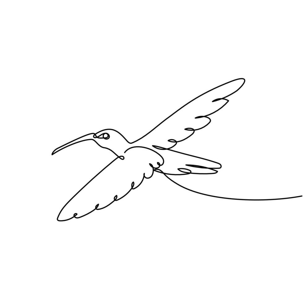 Beautiful Hummingbird One Line Art Illustration vector