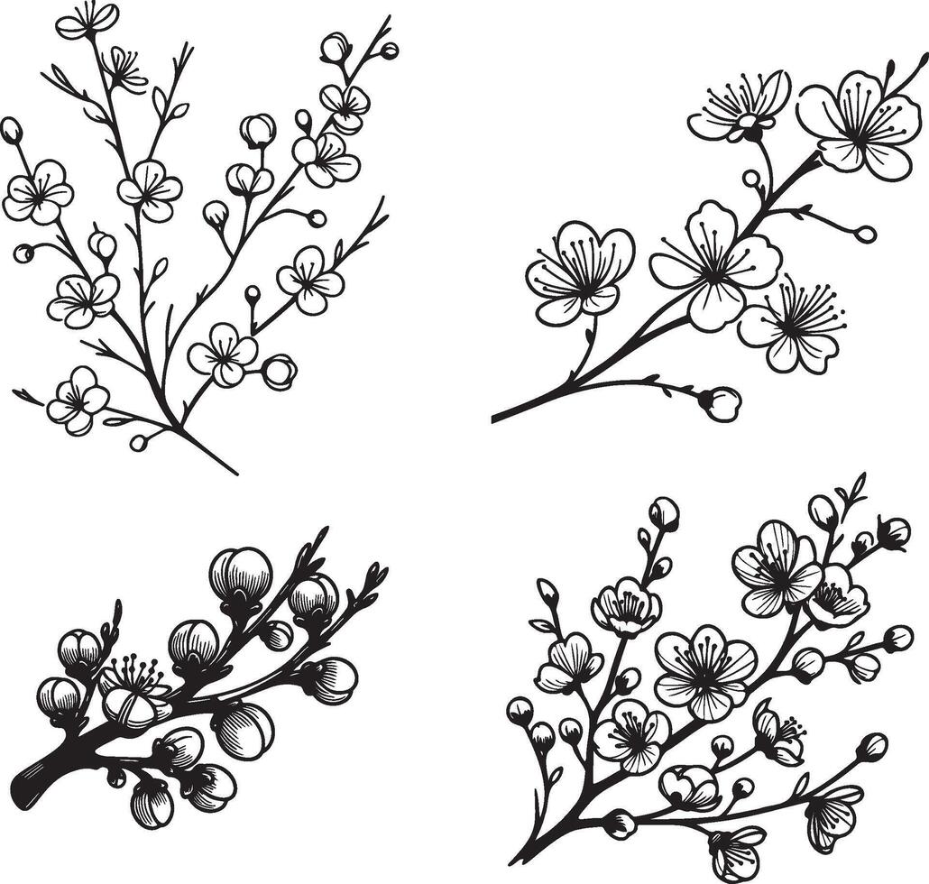 Flowers on Branch Sketch Drawing. vector