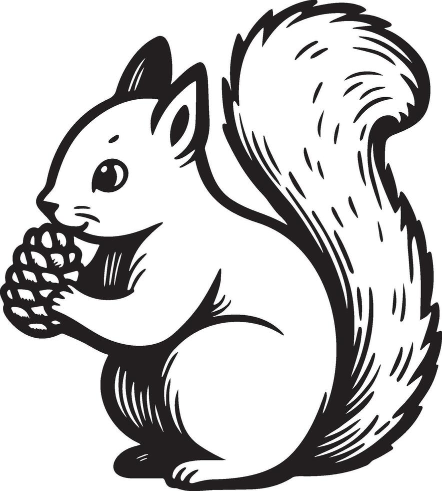 Squirrel Gnawing Pinecone Sketch. vector