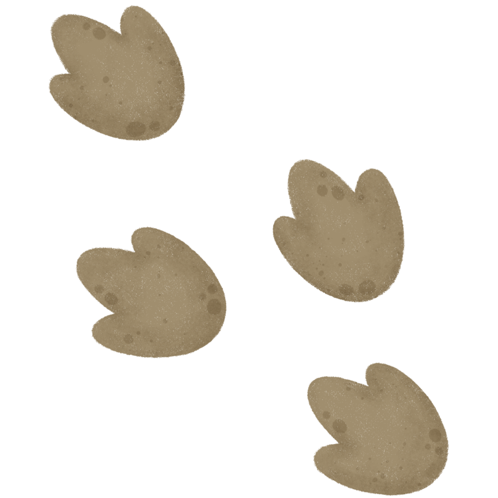 Four dinosaur paw print png