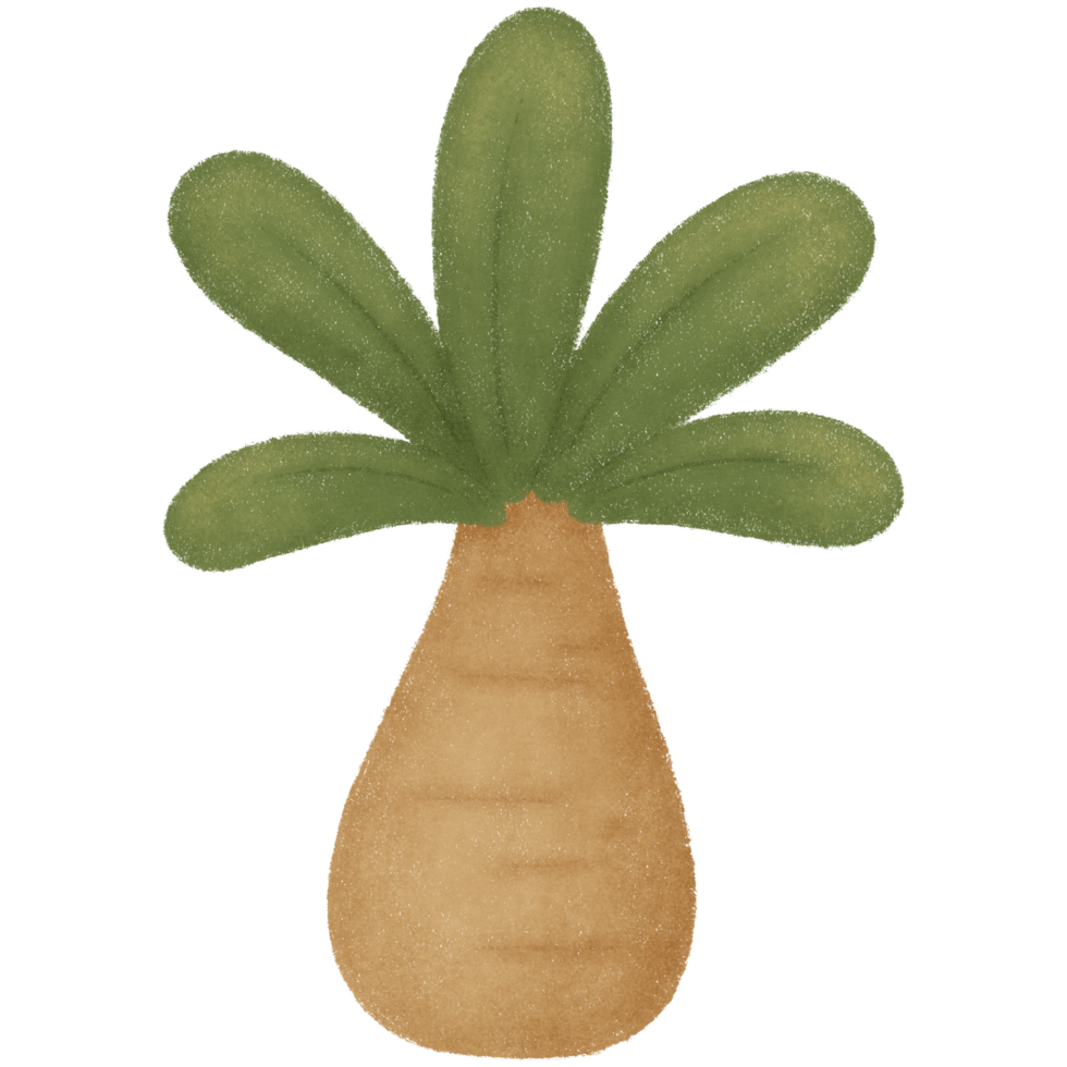 Green palm tree png