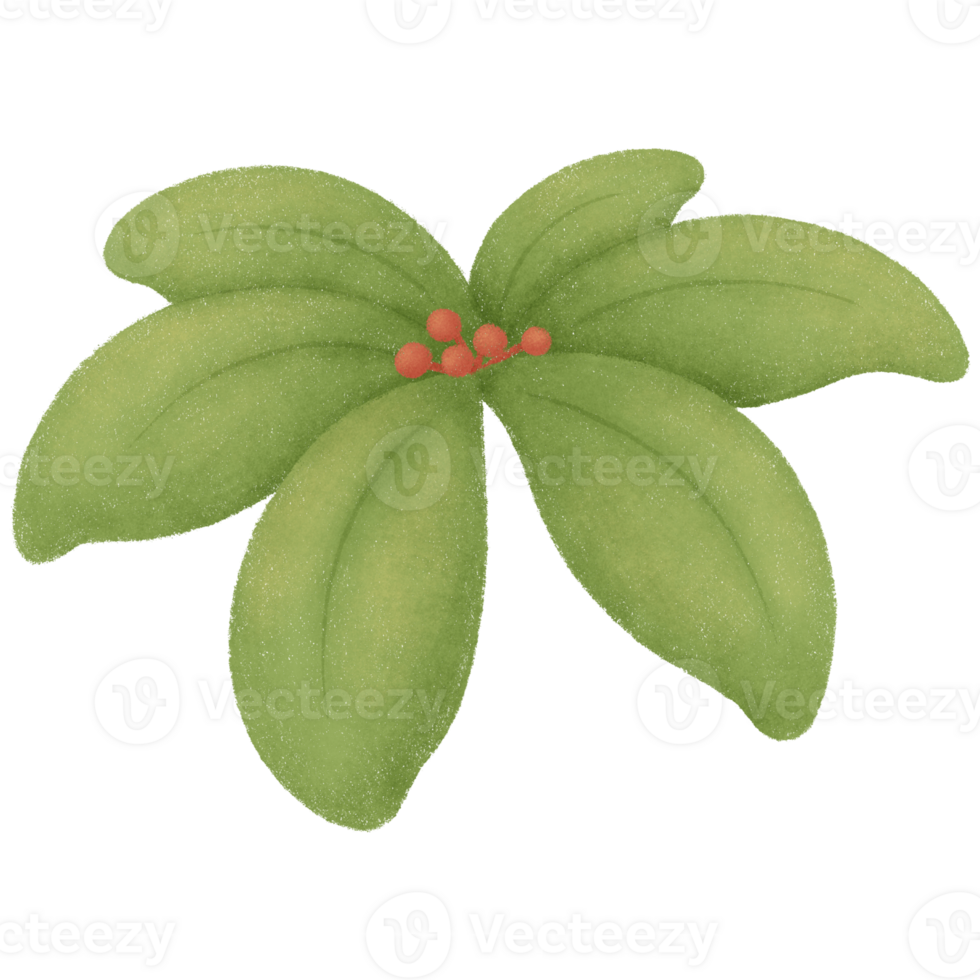 Green leaf tree with red flower png