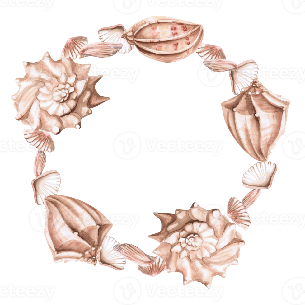 Round frame of sea shells. Isolated watercolor illustration on a marine theme for the design of printed products, tableware, printing on textiles, interior design. png