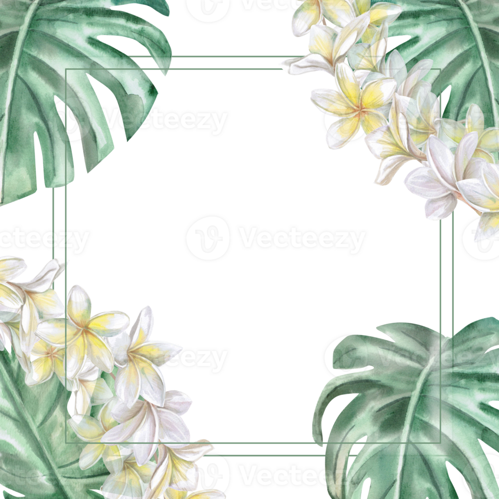 Square frame with corner elements, plumeria flowers and monstera leaves. Isolated watercolor illustration for restaurant menu design, interior, wedding cards, poster printing. png