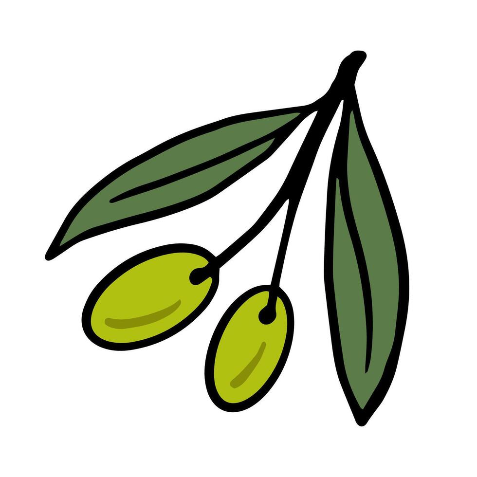 Hand drawn illustration of a green olive branch with two olives and elongated leaves. Perfect for Mediterranean-themed designs, packaging, textiles, and eco labels. vector
