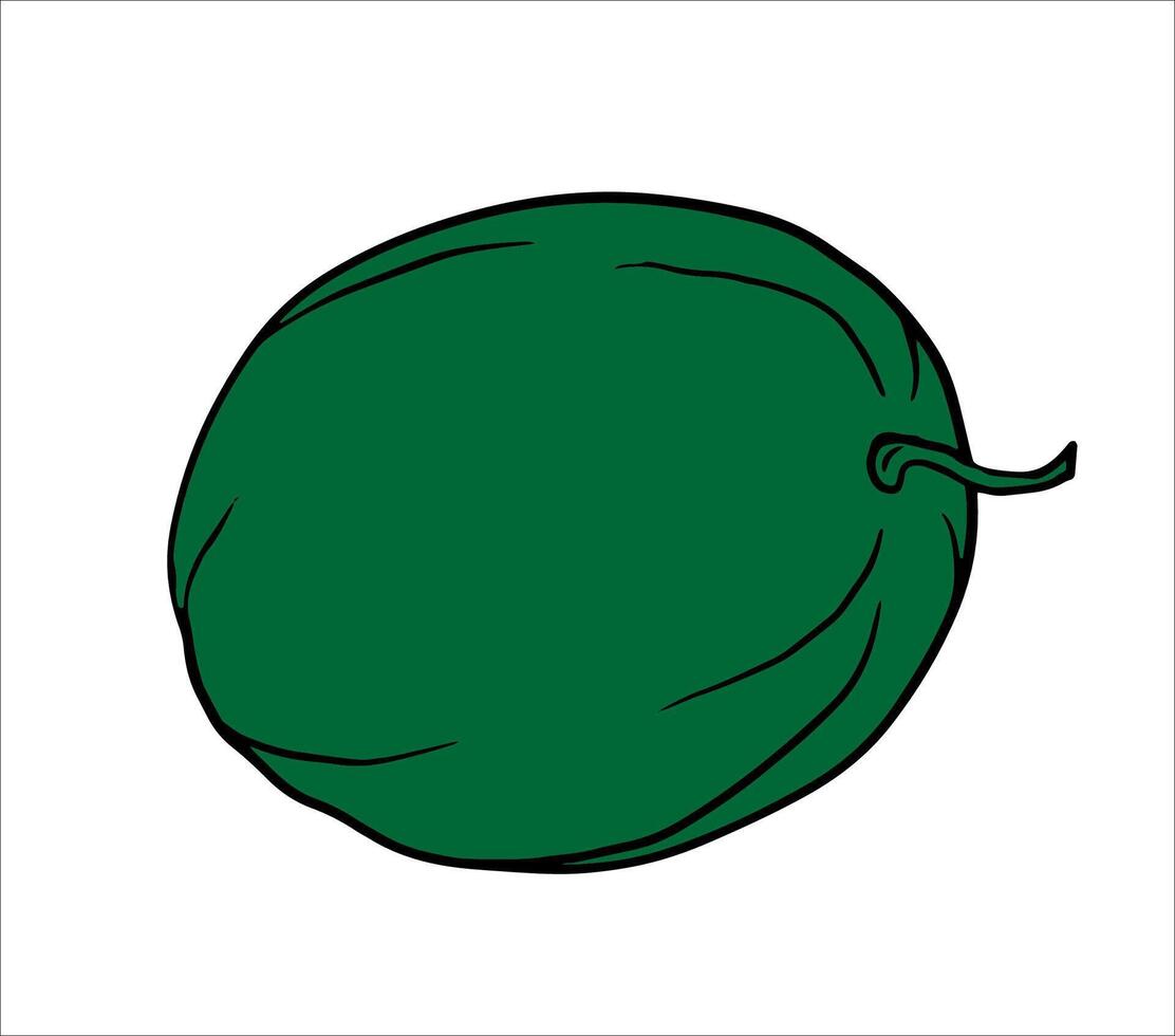 Dark green whole watermelon illustration without stripes. Ideal for menu art, packaging labels, summer banners, social media graphics. vector