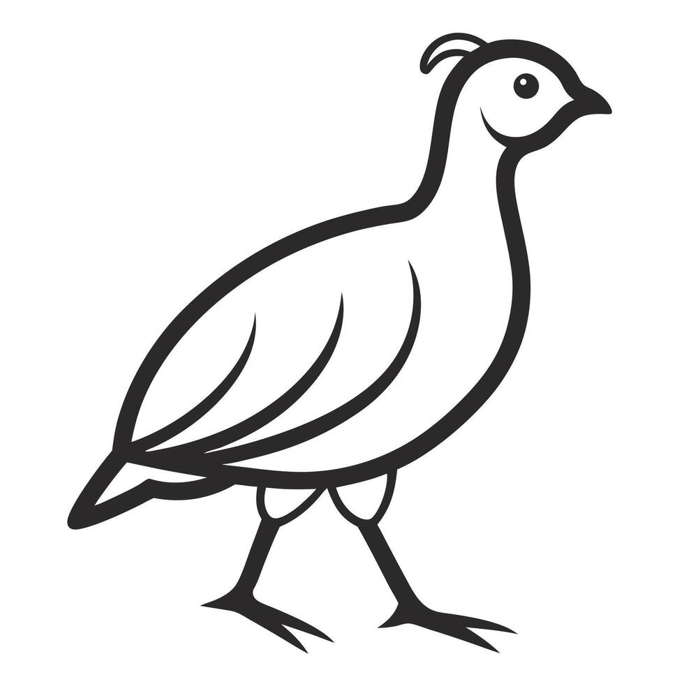 Simple black and white partridge illustration vector