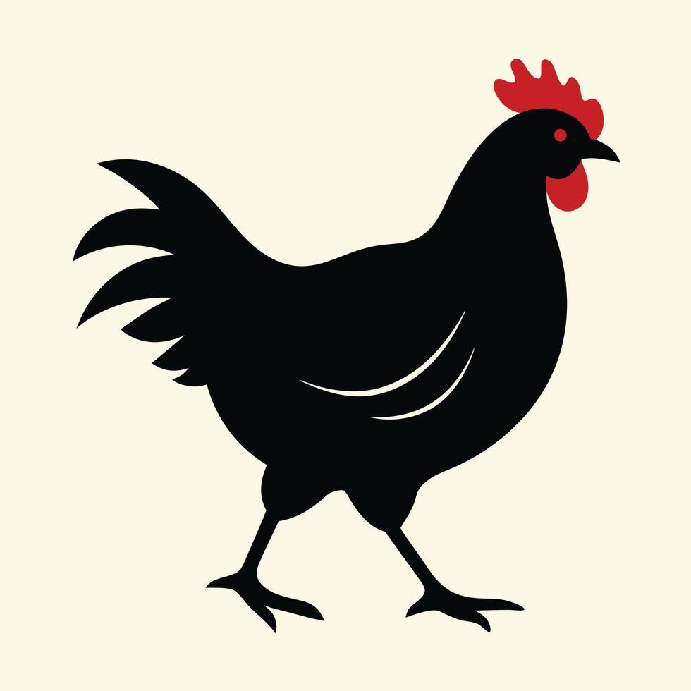 Black chicken walking in profile view vector