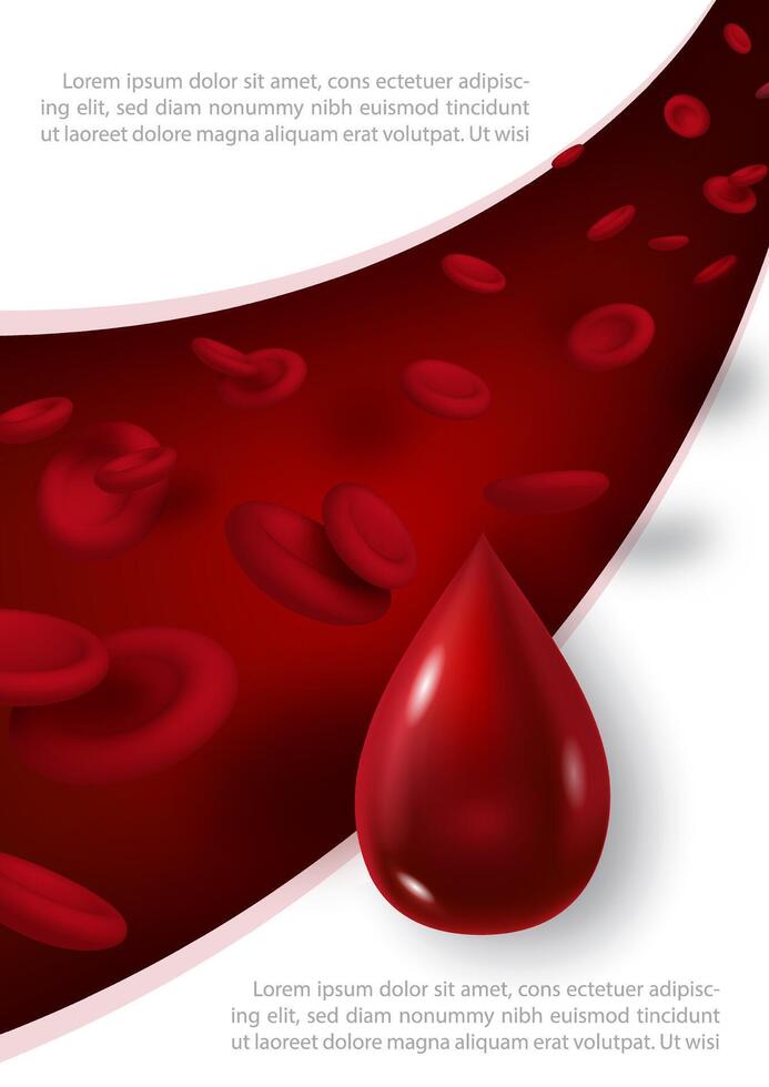 Blood droplets in 3d glossy style with red blood cells in 3d style flying on the blood vessel with example texts on white background. Poster's campaign of world blood donor day vector