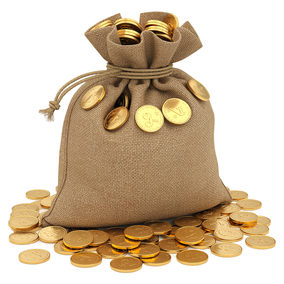 Blank golden coins in a bag with a transparent background. png