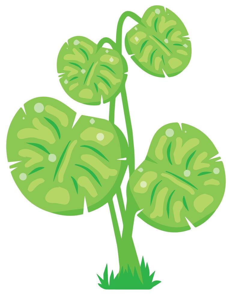 Indoor plant in flat style. Simple green leaves with light texture and minimal vector