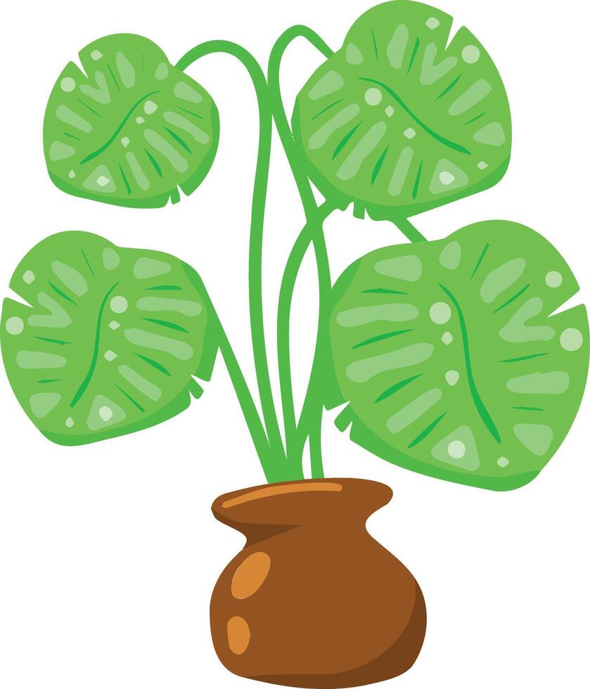 Indoor houseplant in a pot. Tropical leaves in flat cartoon style. vector