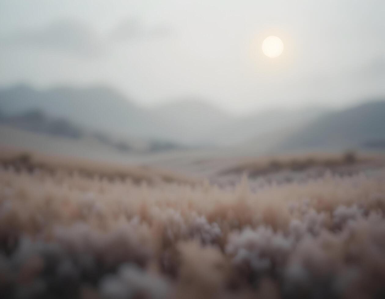 Sun Over Misty Field with Hills in Distance photo