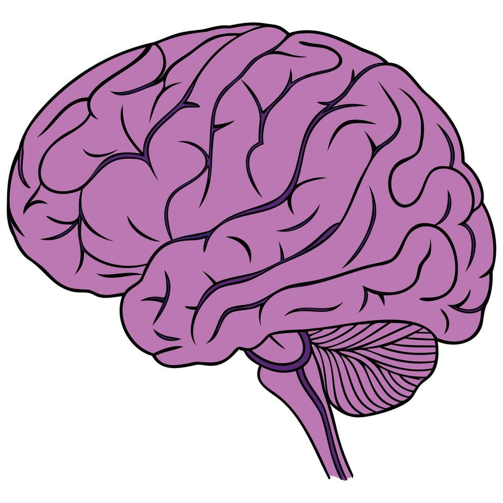 Abstract Brain Idea Art vector