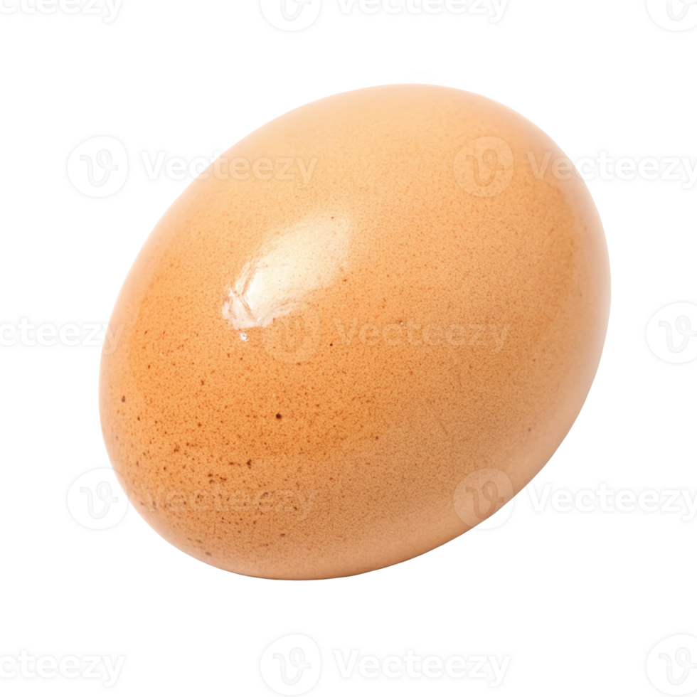 Single brown chicken egg isolated on transparent background png