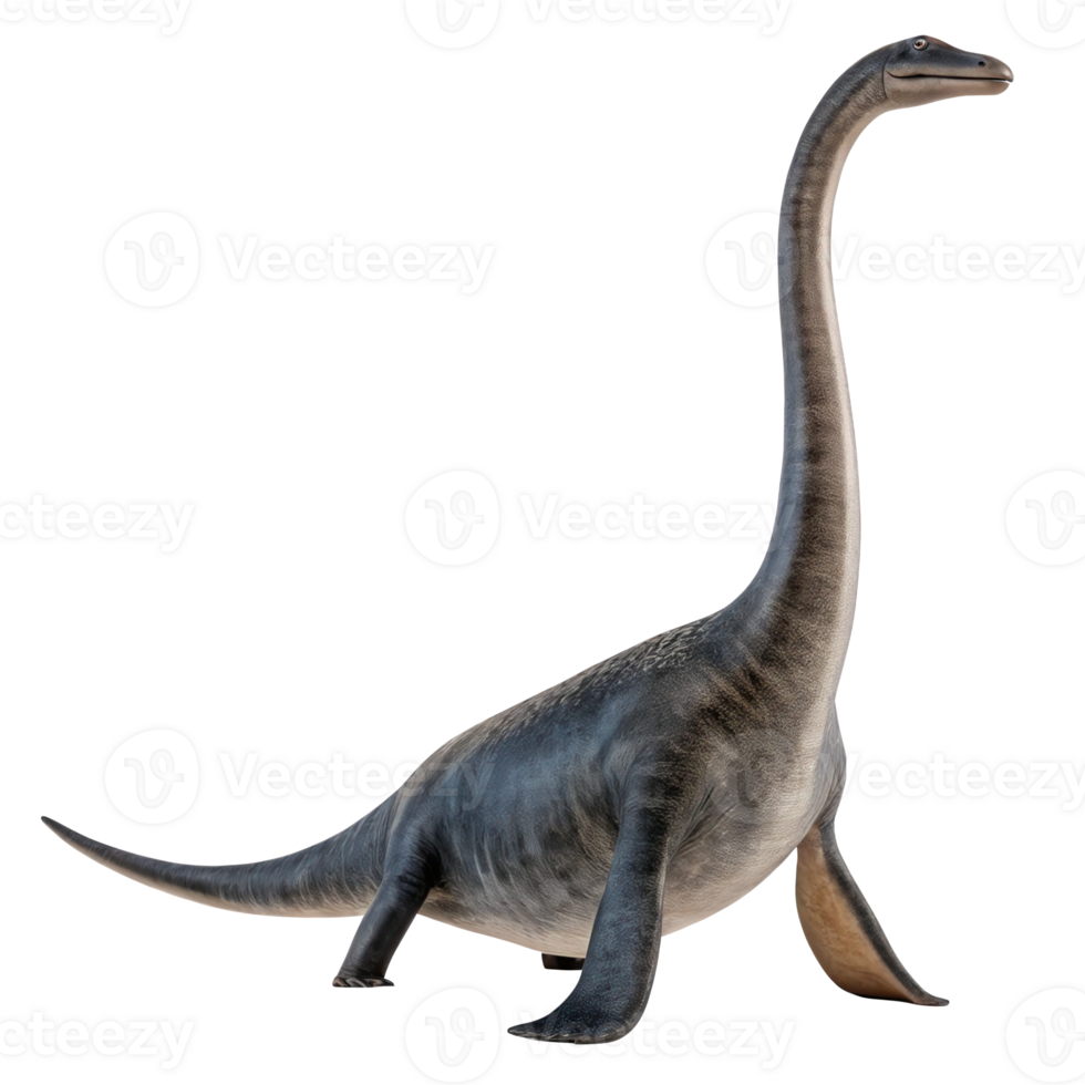 Elasmosaurus plesiosaur dinosaur standing on transparent background png