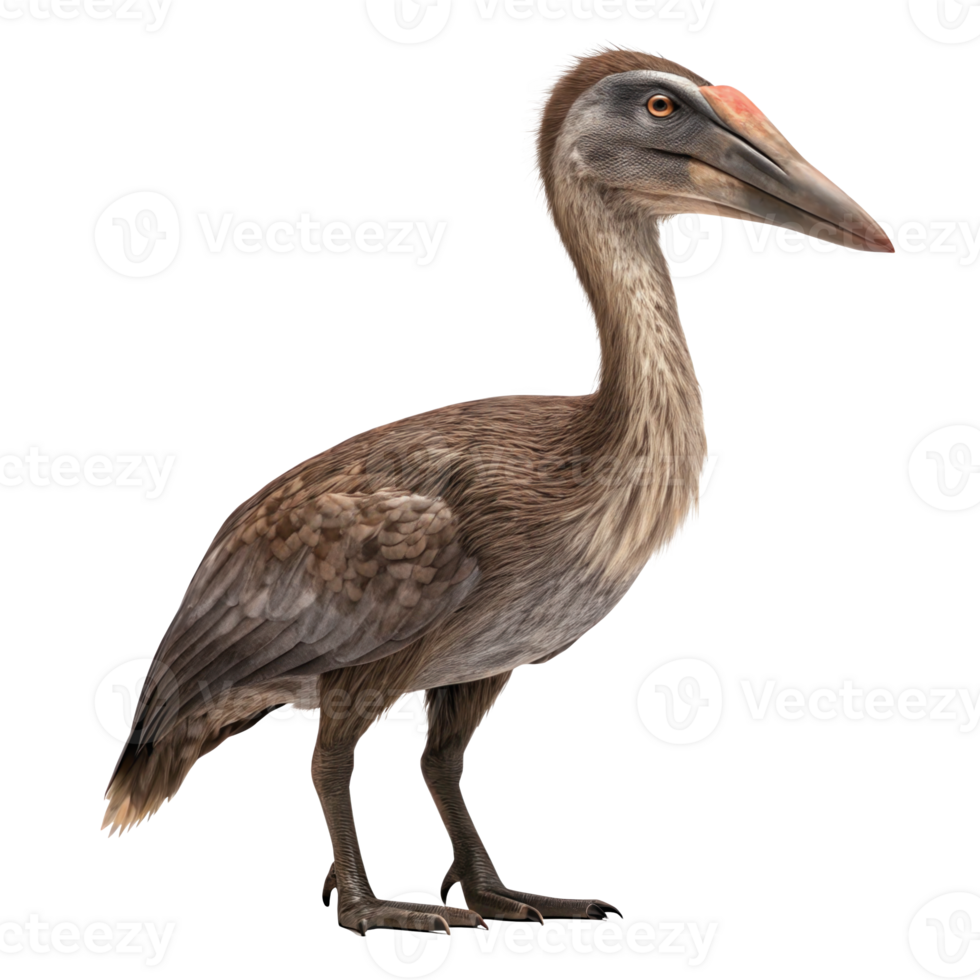 Hatzegopteryx standing on transparent background, profile view png