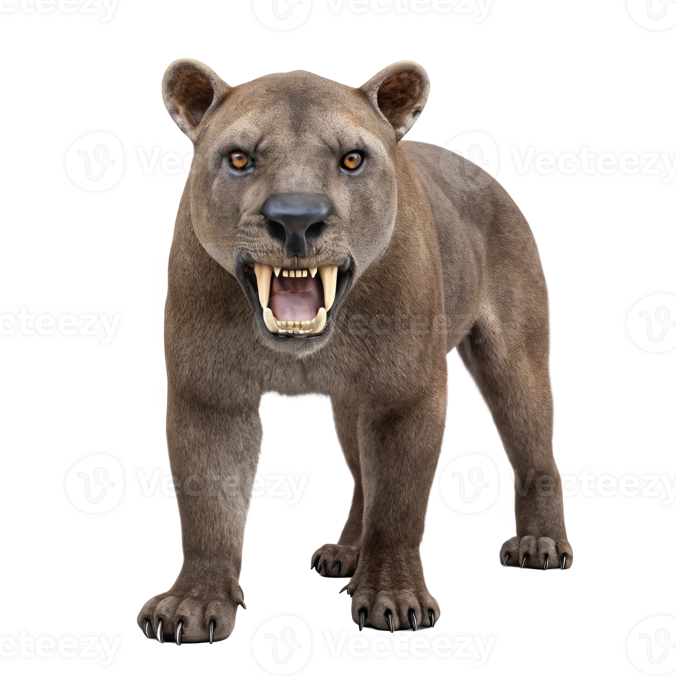 Hyaenodon, extinct bone crunching creodont, snarling on transparent background png