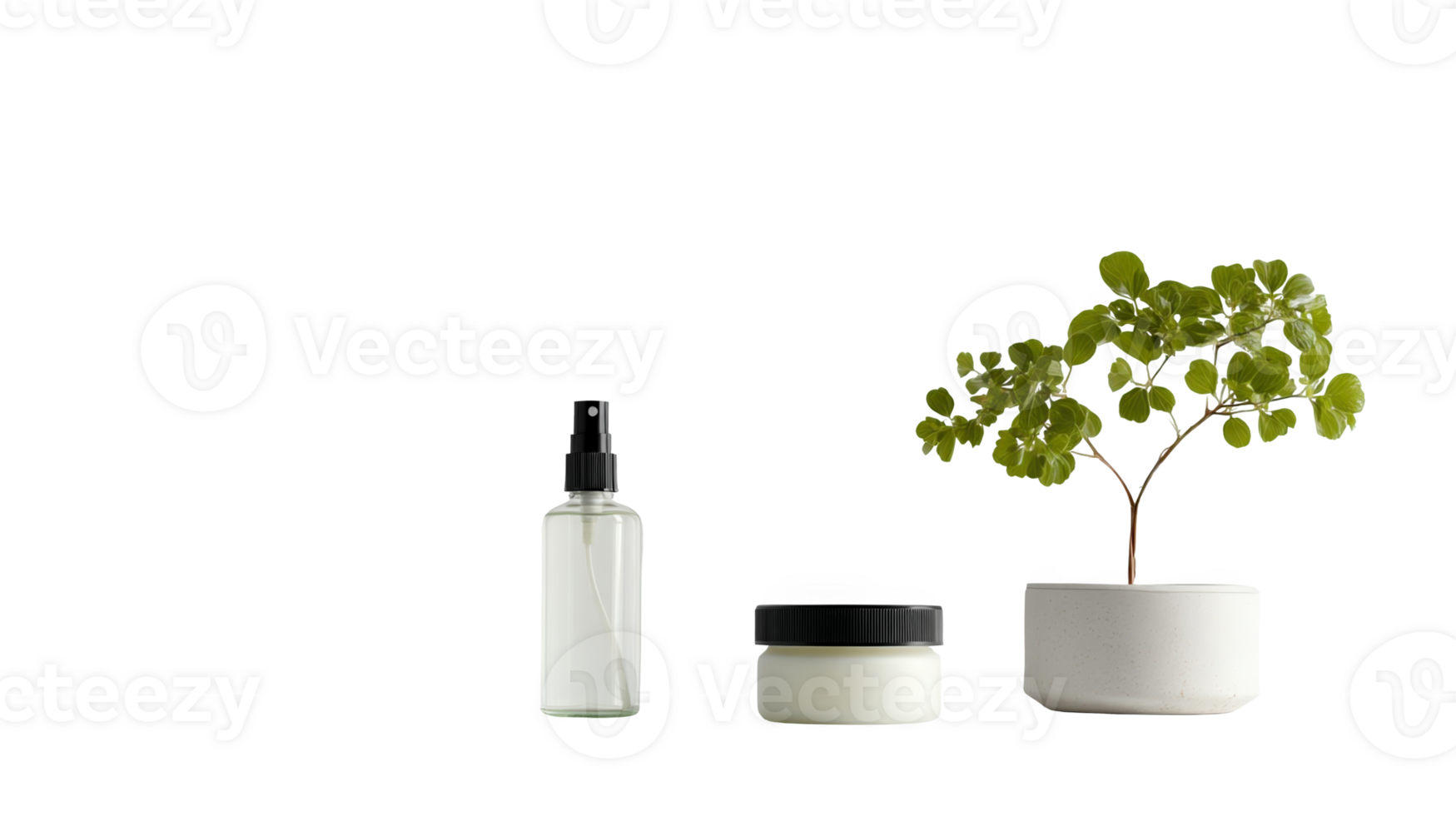 Minimalist beauty products with transparent background featuring green plant png