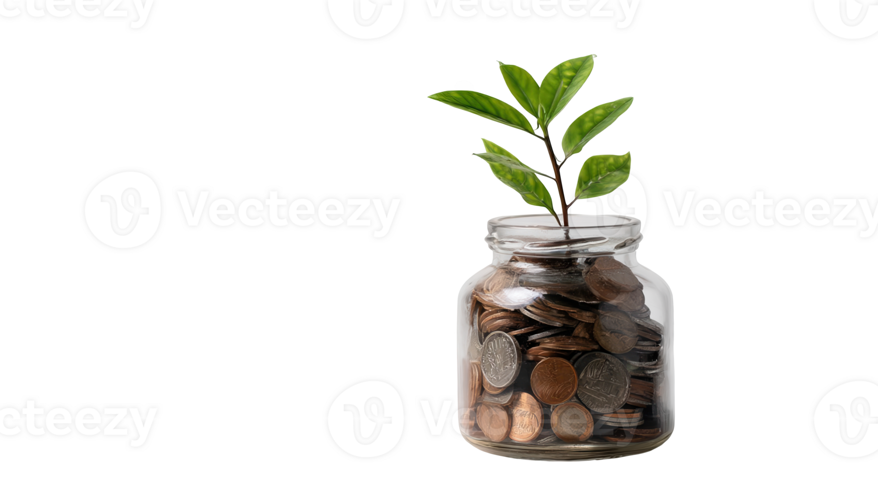 Small plant growing from coins in glass jar on transparent background png