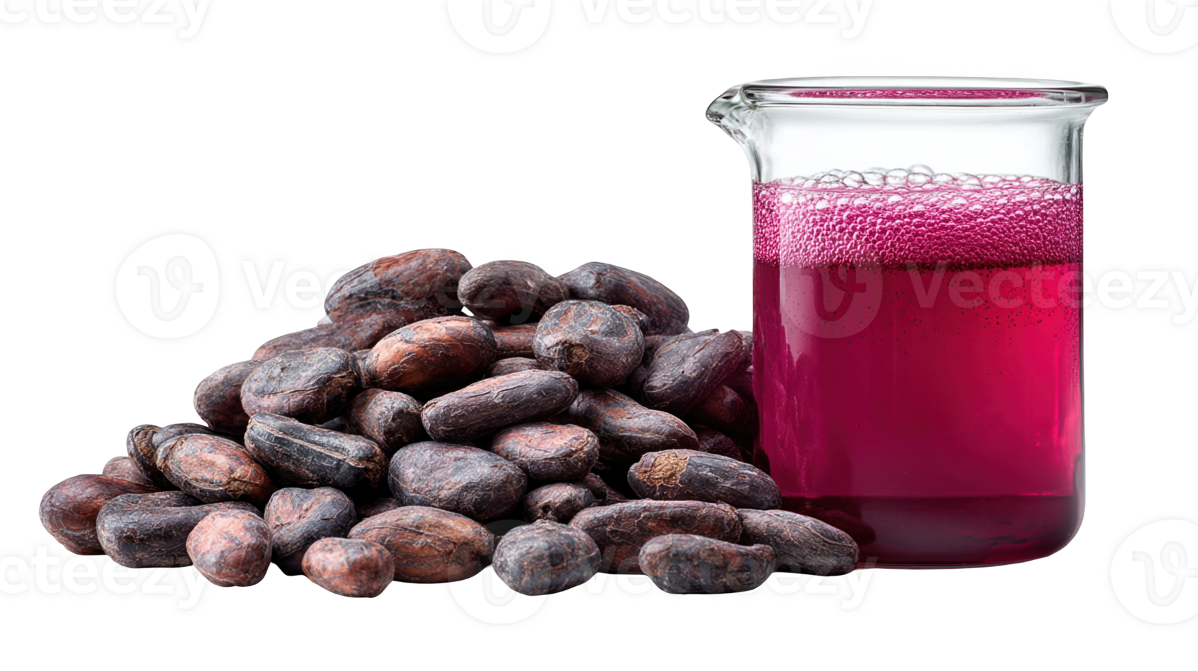 Cocoa beans and red extract in beaker on transparent background png