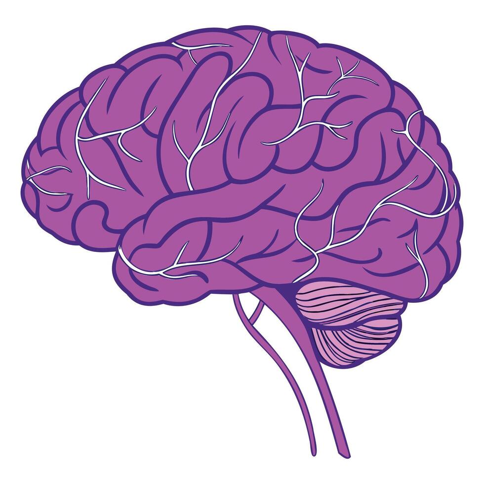 Creative Brain Silhouette Design vector