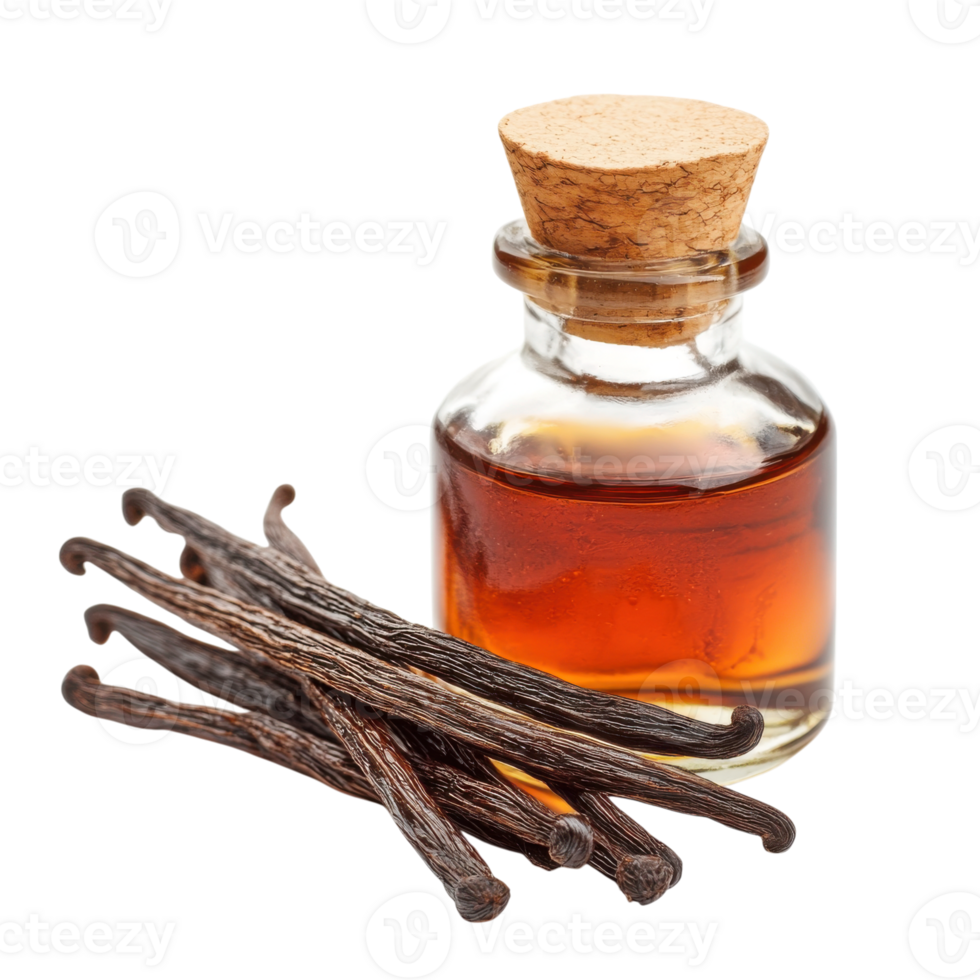 Vanilla extract and pods on transparent background png