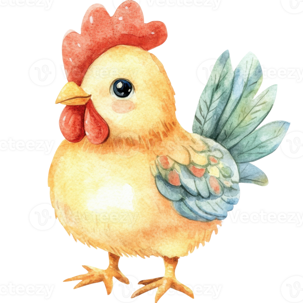 Watercolor chicken art on transparent background png