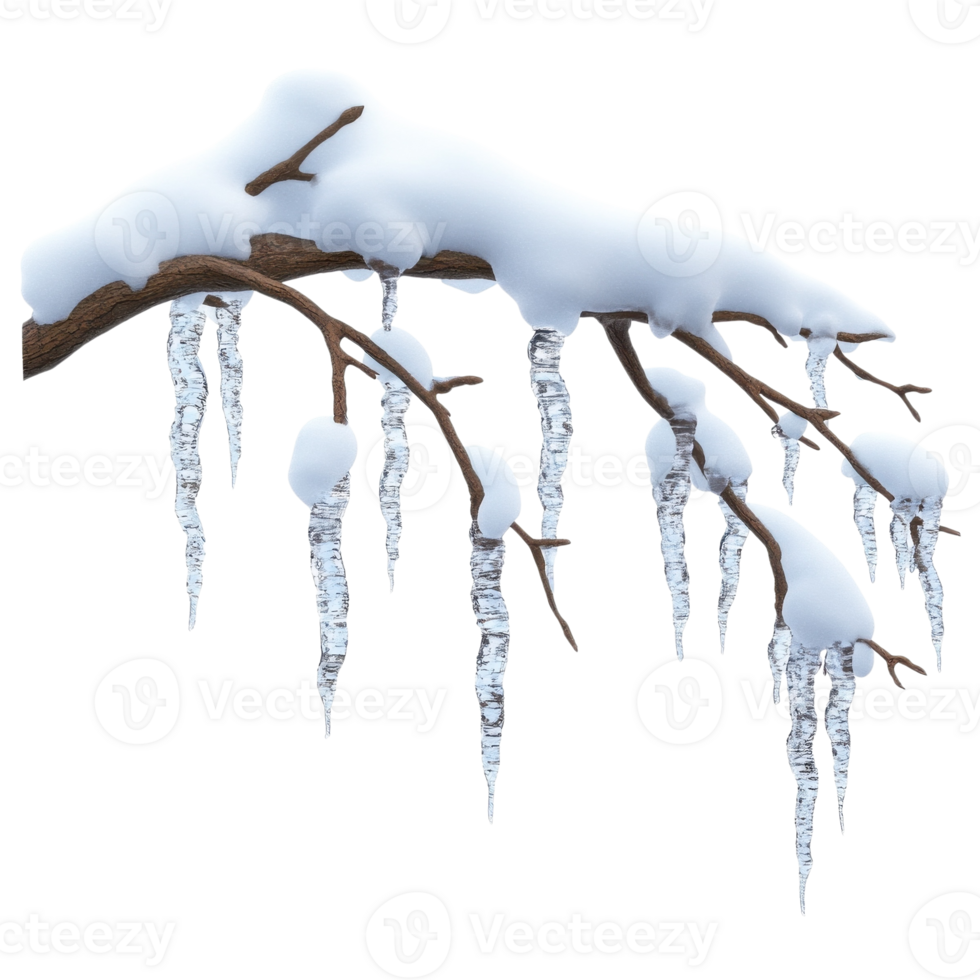 Icicles hanging from tree on transparent background png