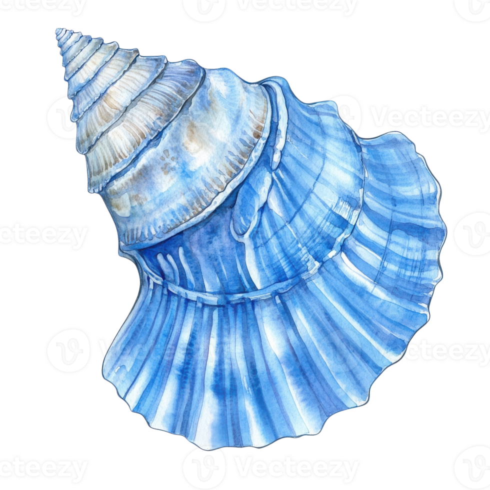 A blue watercolor shell on transparent background png