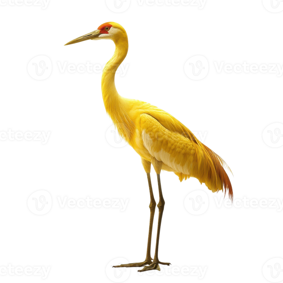 A yellow crane standing on transparent background png