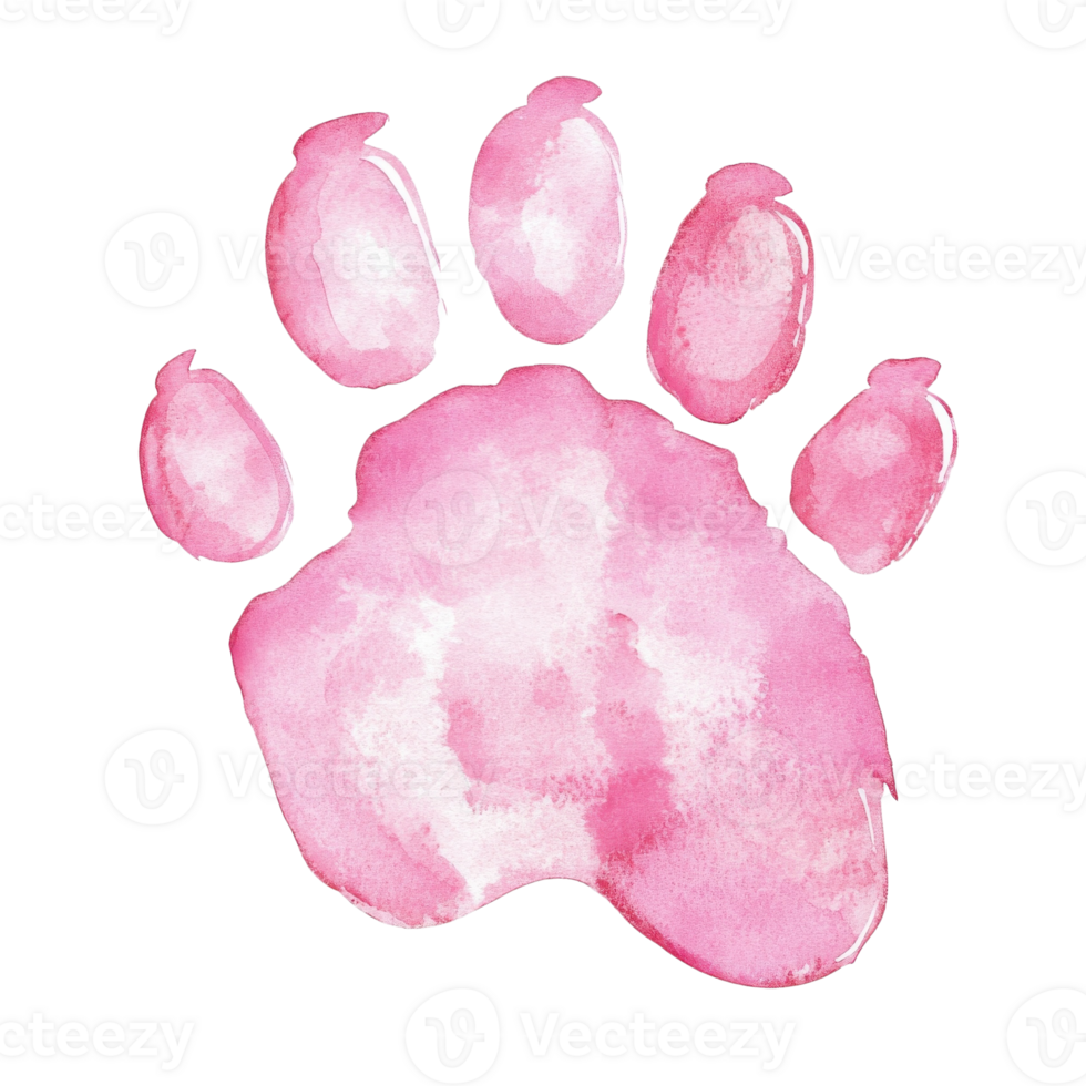 Pink paw print design on transparent background png