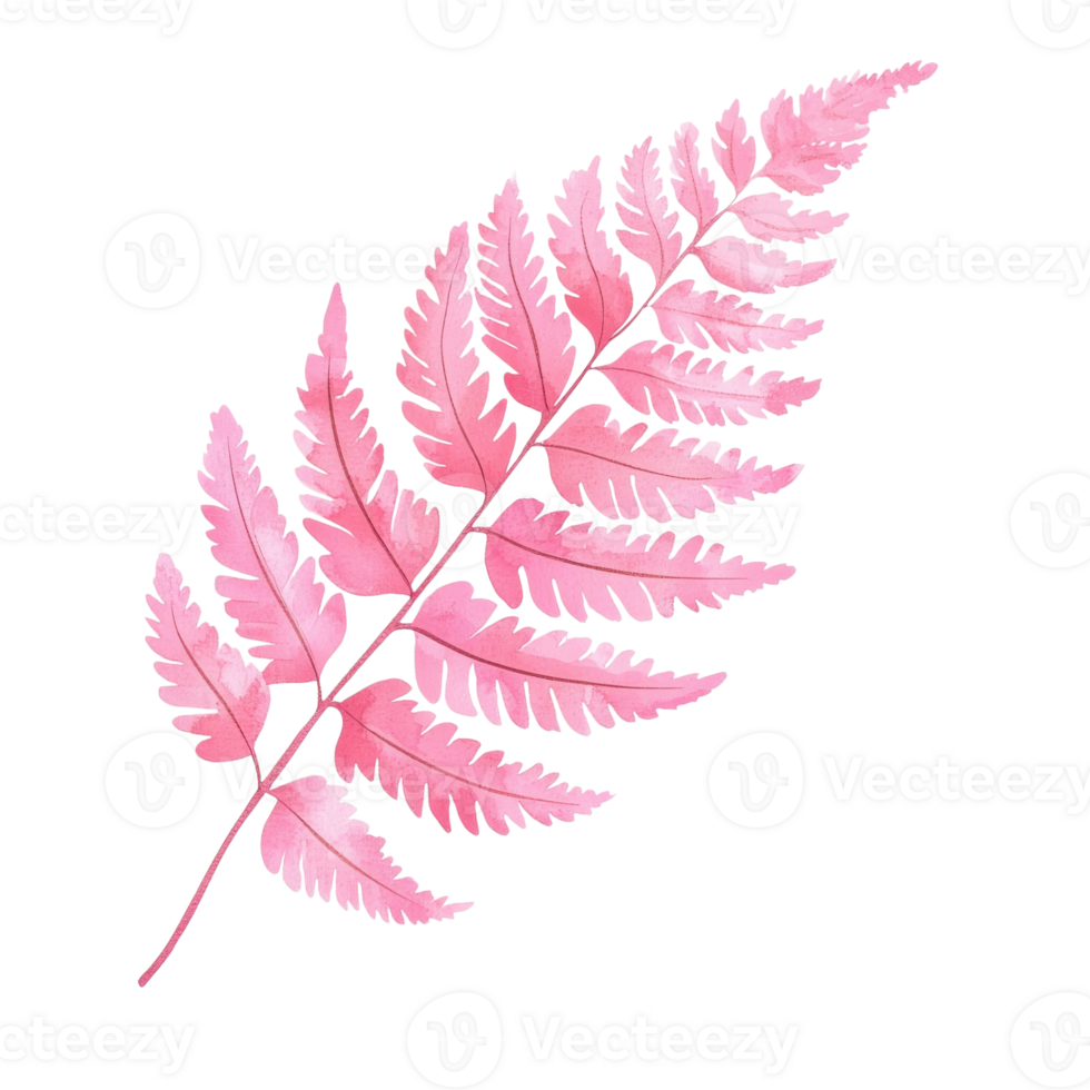 A pink fern on black bg on transparent background png