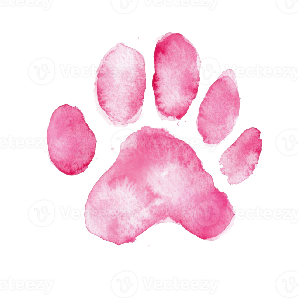 Pink watercolor paw print on transparent background png