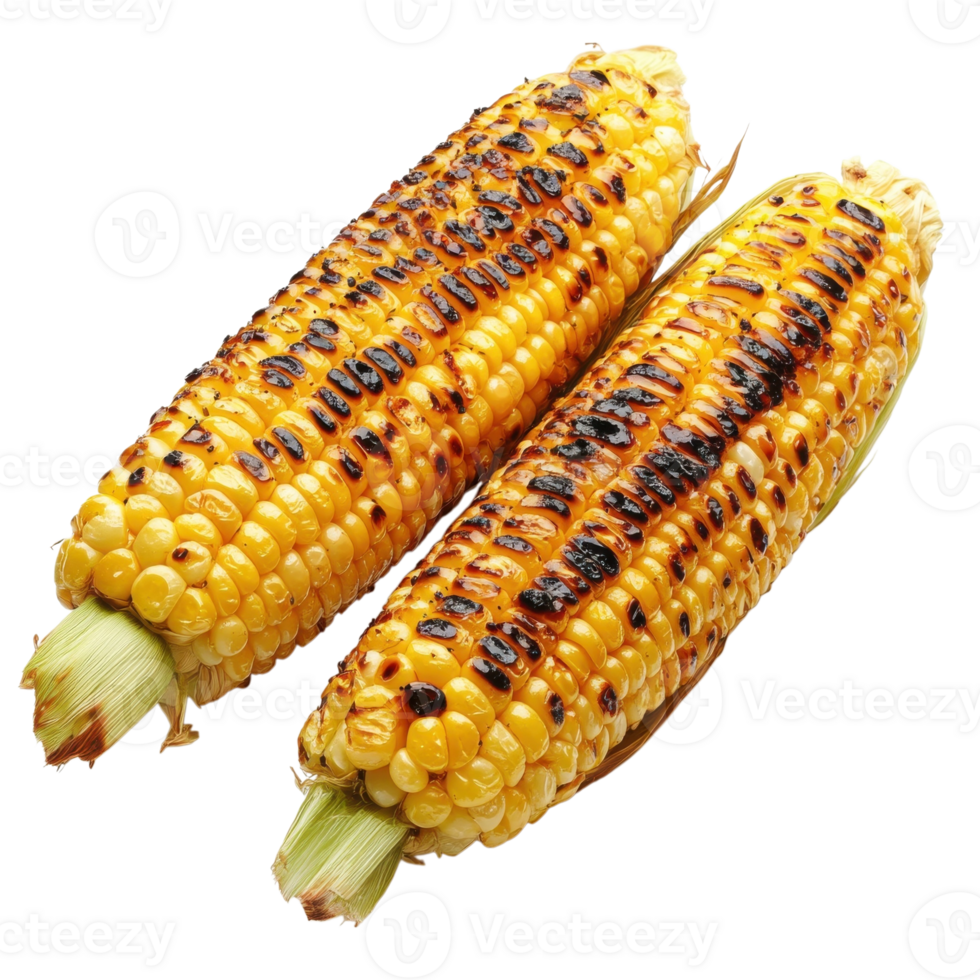 Grilled corn on the cob on transparent background png
