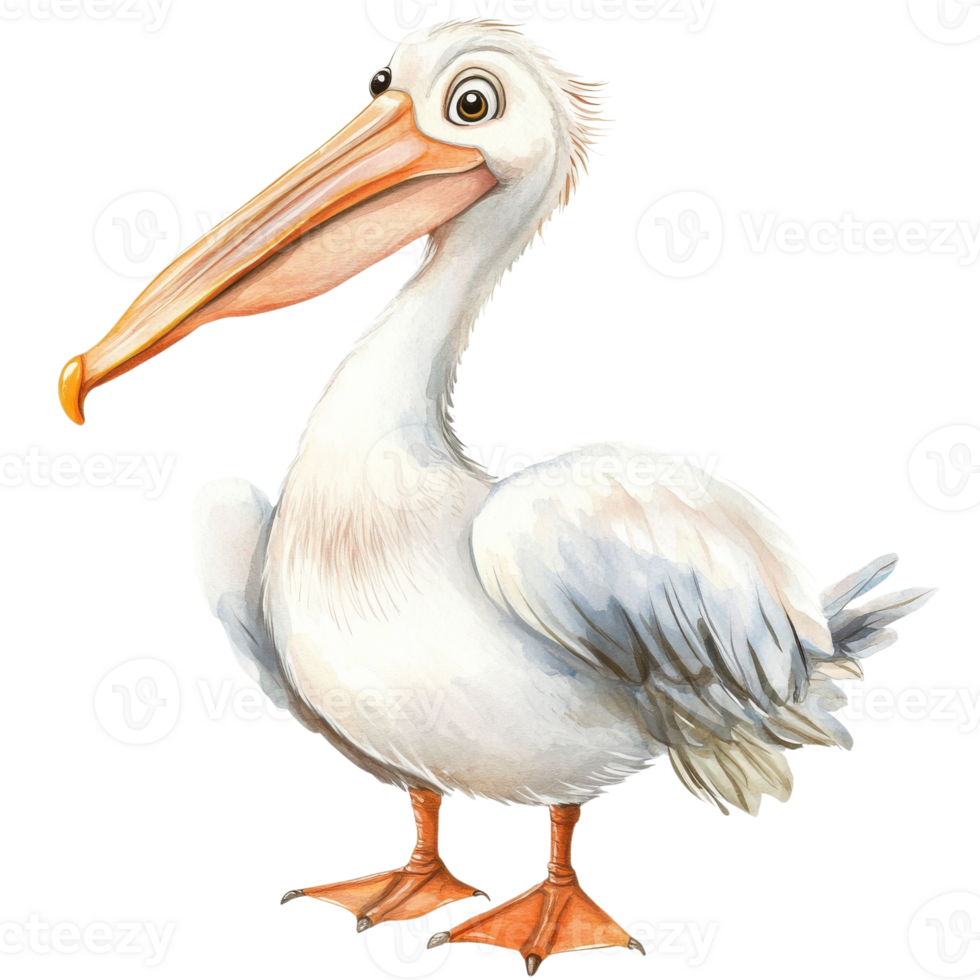 A cartoon pelican bird on transparent background png