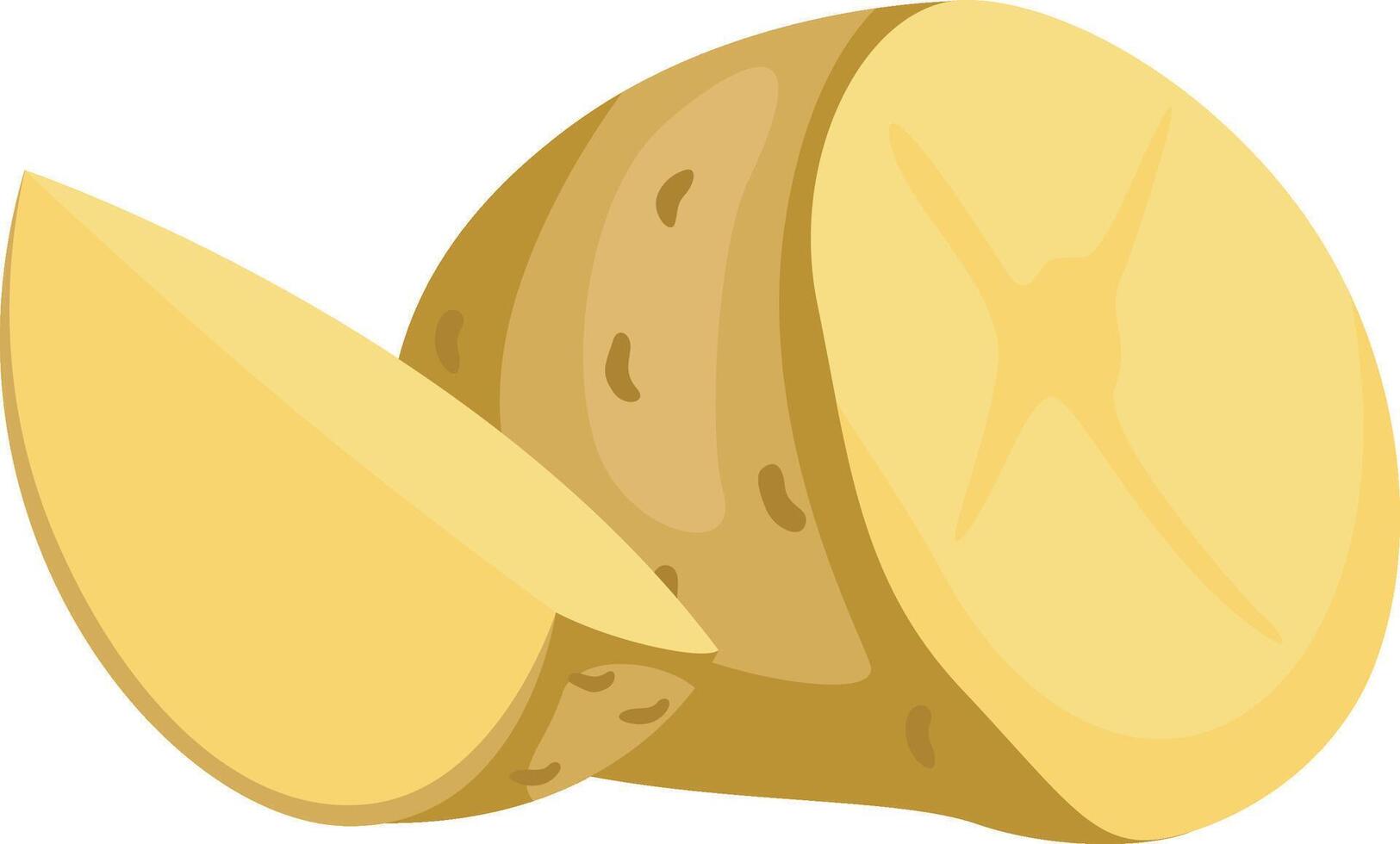 Freshly Cut Potato and a Slice vector