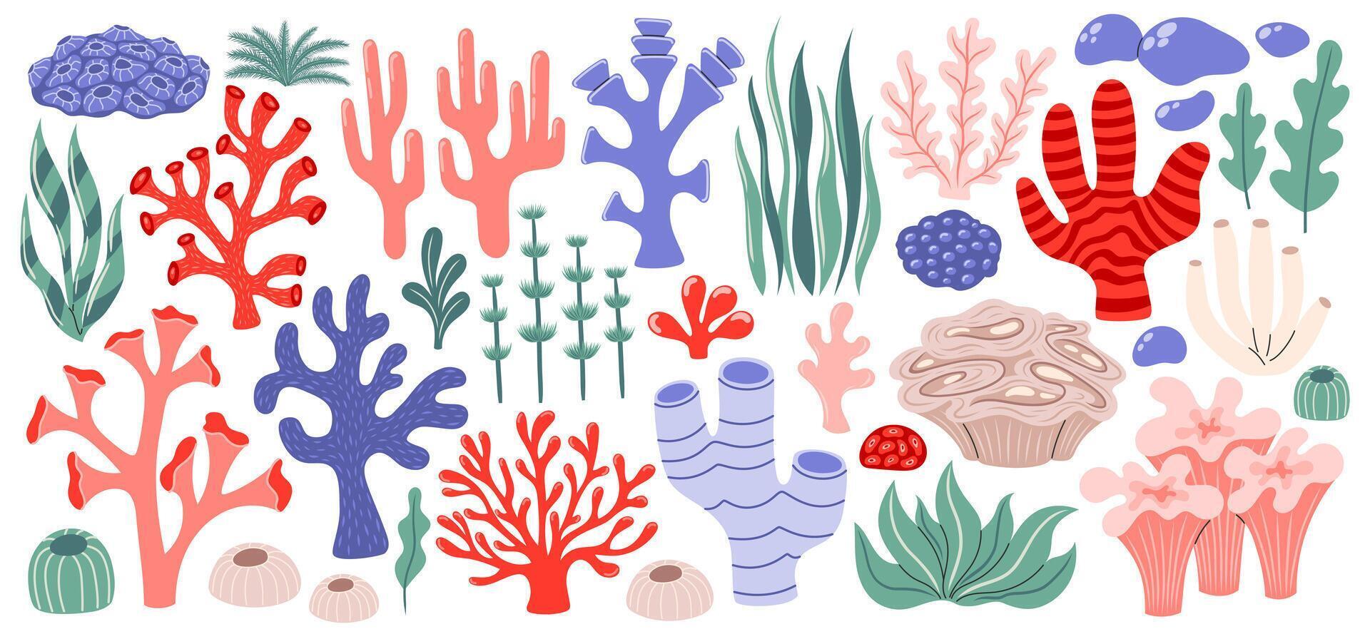 Coral and seaweed set. Ocean plants, underwater flora, sponges and seagrasses. Aquatic plant, algae, tropical coral-reef elements. Flat illustration isolated on white background vector