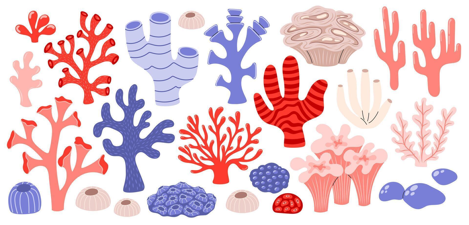 Coral set. Ocean plants, underwater flora, seaweed. Aquatic plant, algae, tropical coral-reef elements. Flat illustration isolated on white background vector