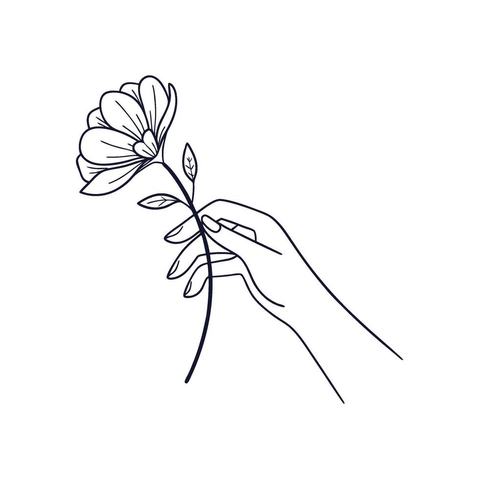hand holding flower line art vector